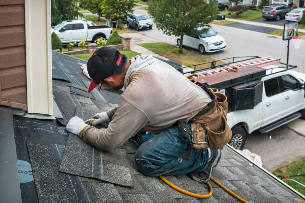 Professional Storm Damage Roof Repair technician working in Wheaton, IL